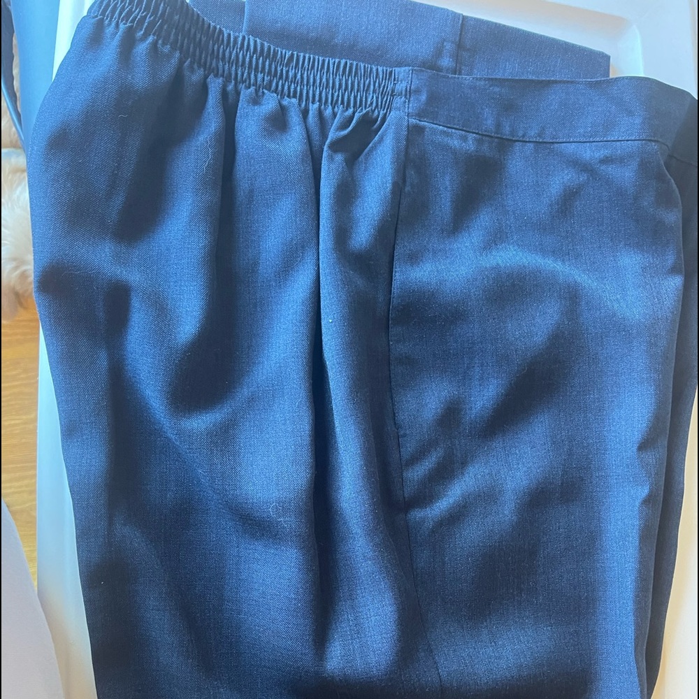 Alford Dunner 12p blue pants barely worn it excellent condition